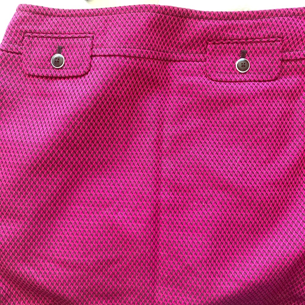 LOFT NWT skirt 8p